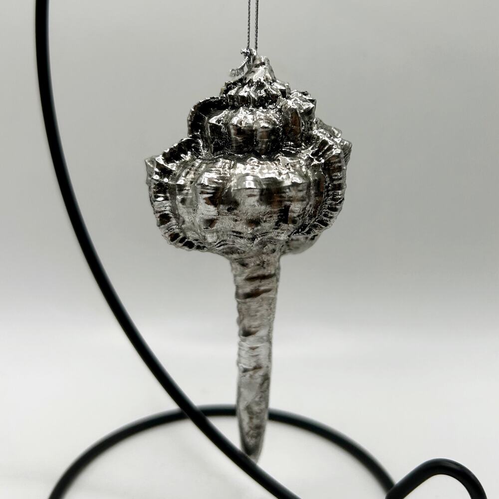 Haustellem Murex Silver Colored Sea Shell Nautical Ornament
